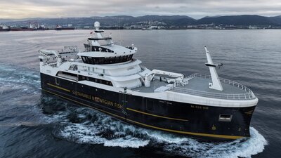 ST-158 Hybrid Leinebris